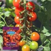 Semilla de tomate cherry Anasac Tomate Cocktail