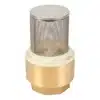 Válvula de retención de fondo Taumm 1'' con filtro de acero inoxidable para la protección del sistema.